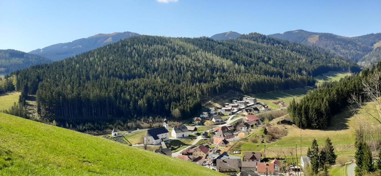Landhotel-Restaurant Willingshofer Gasen Zewnętrze zdjęcie