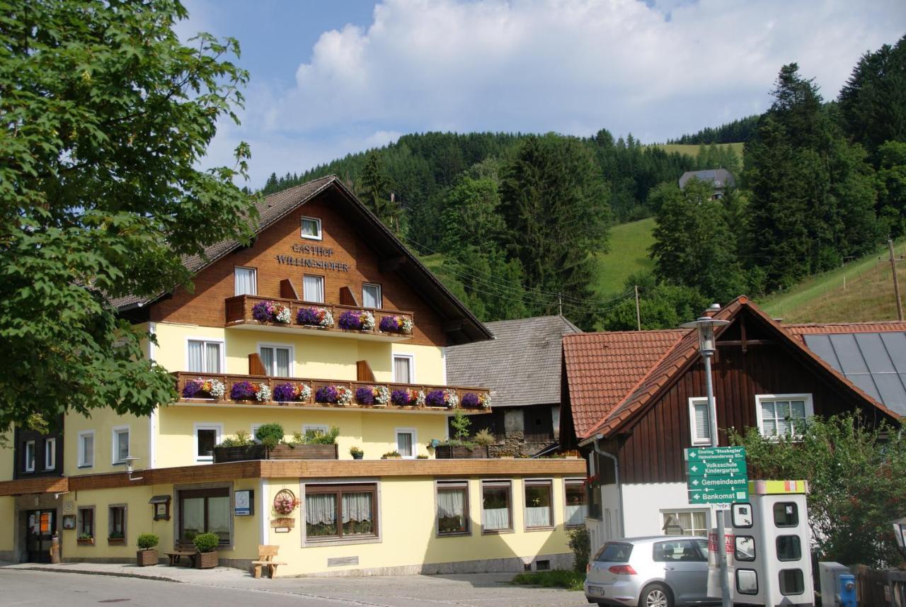 Landhotel-Restaurant Willingshofer Gasen Zewnętrze zdjęcie